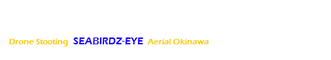 シーバーズ・スタジオ 沖縄ドローン空撮